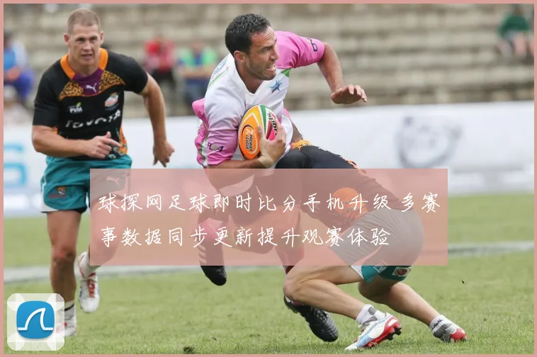 球探网足球即时比分手机升级 多赛事数据同步更新提升观赛体验