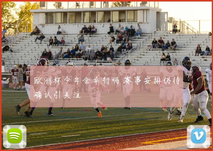 欧洲杯今年会举行吗 赛事安排仍待确认引关注