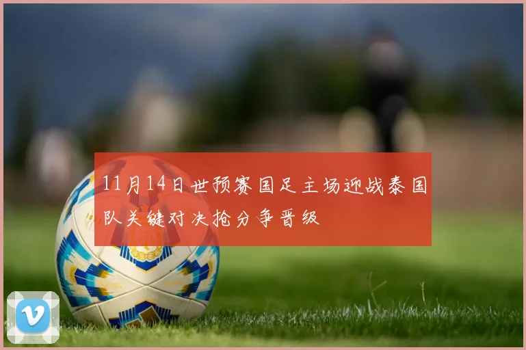 11月14日世预赛国足主场迎战泰国队关键对决抢分争晋级