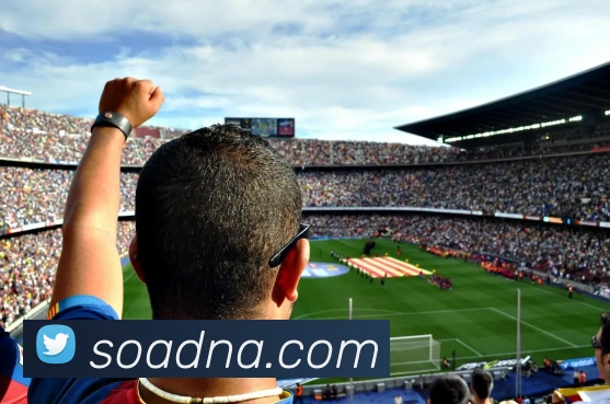 世界杯平台官网登录服务体系